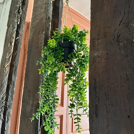 Διαμέρισμα Confort - Close To Parc Du Chateau - 4 People Φονταινεμπλώ